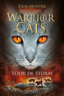 Voor de storm