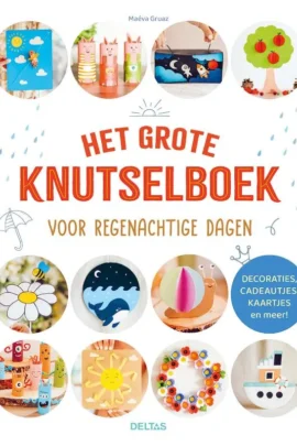 Het grote knutselboek voor regenachtige dagen