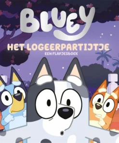 Het logeerpartijtje