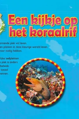 Alternative view of Een kijkje op het koraalrif