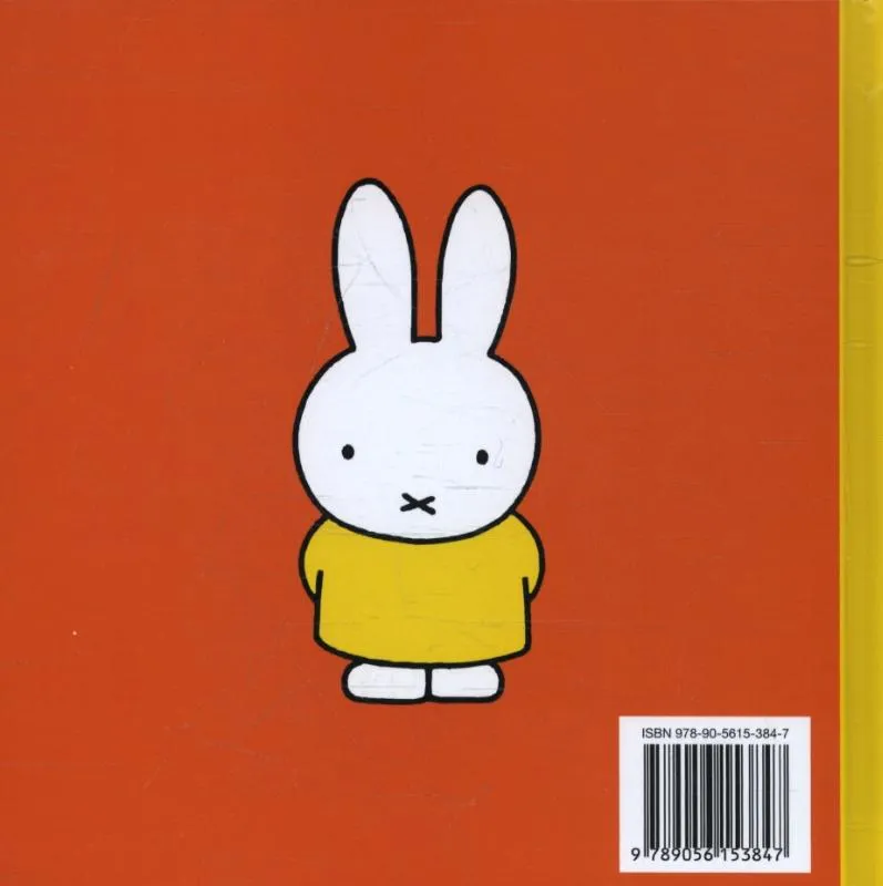 Opa en oma Pluis | 9789056153847 Opa en oma Pluis - Afbeelding 2