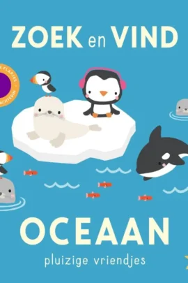 Oceaan