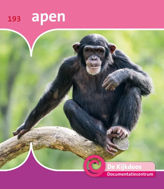 Rapunsel kinderboeken |