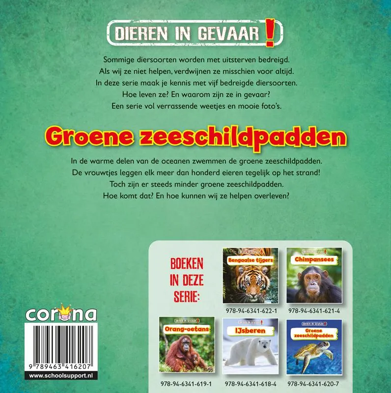 Groene zeeschildpadden | 9789463416207 Groene zeeschildpadden - Afbeelding 2