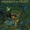 De woudgeest van weleer | 9789493265936 De woudgeest van weleer | 9789493265936