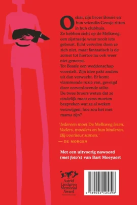 Alternative view of De melkweg