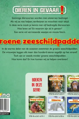 Alternative view of Groene zeeschildpadden