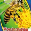 Honingbijen | 9789463414869 Honingbijen | 9789463414869