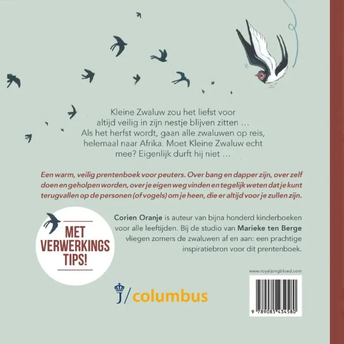 Kleine zwaluw durft niet - Afbeelding 2