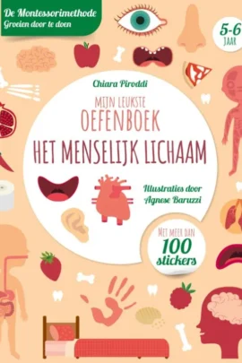Mijn leukste oefenboek het menselijk lichaam