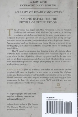 Alternative view of Library of Souls