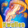 Kwallen | 9789463411288