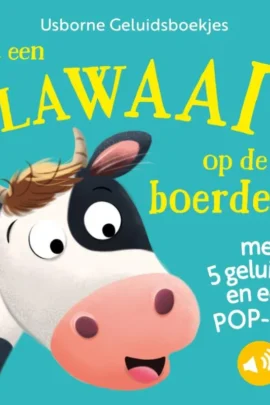 Het dorp van de Kerstman