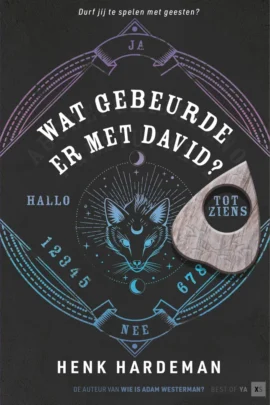Wat gebeurde er met David?