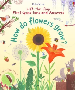How do flowers grow?