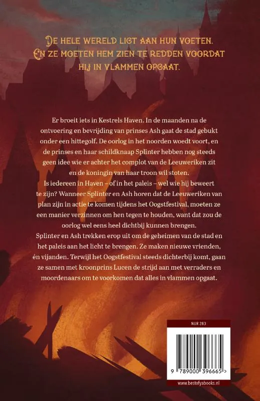 Een stad vol geheimen | 9789000396665 Een stad vol geheimen - Afbeelding 2