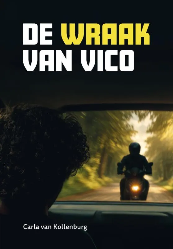 De wraak van Vico | 9789048756711 De wraak van Vico