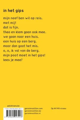 Alternative view of In het gips