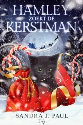 Hamley zoekt de Kerstman