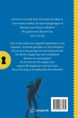 Alternative view of Het geheim van de duistere diamantroof