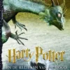 Harry Potter en de relieken van de dood | 9789061697671