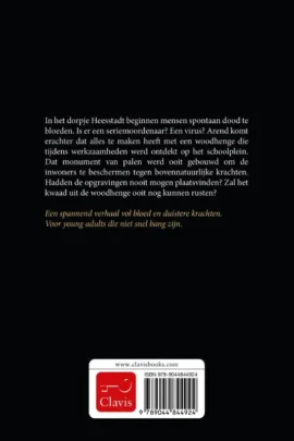 Alternative view of Woodhenge