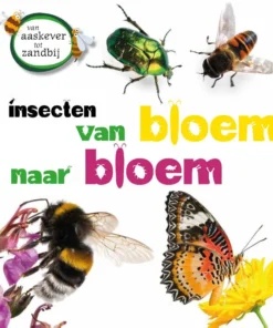 Insecten van bloem tot bloem