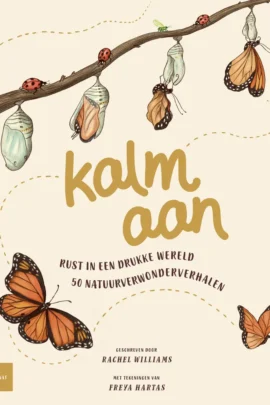 Kalm aan