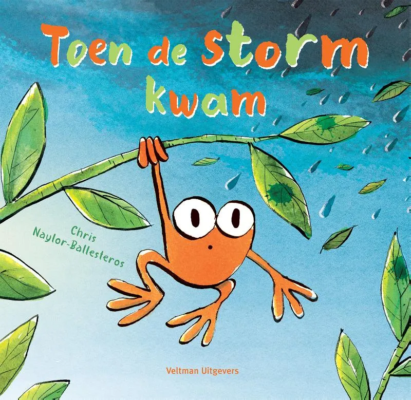 Toen de storm kwam | 9789048321278 Toen de storm kwam