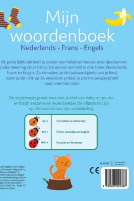 Alternative view of Nederlands, Frans, Engels