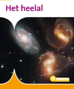 Bijen en wespen