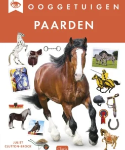 Ooggetuigen. Paarden