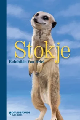 Stokje