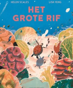 Het grote rif