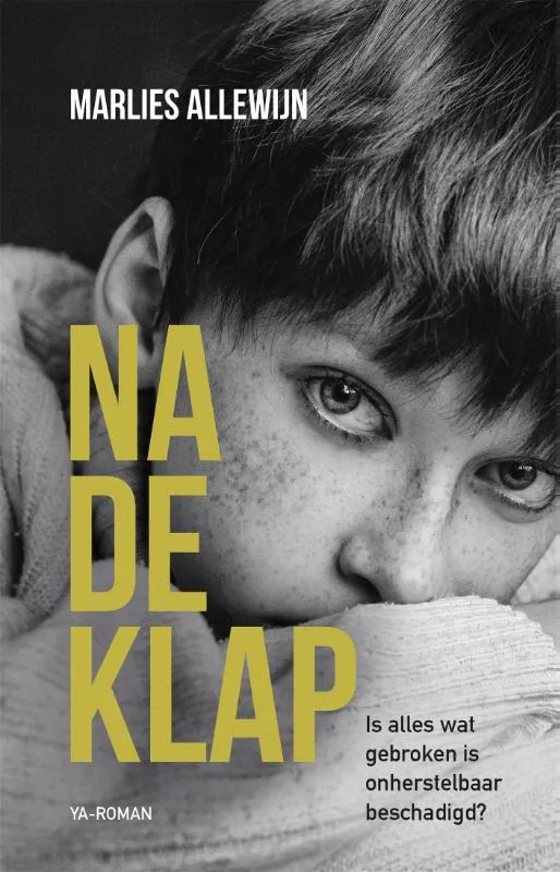 Na de klap | 9789020654707 Na de klap