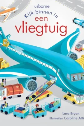 een vliegtuig