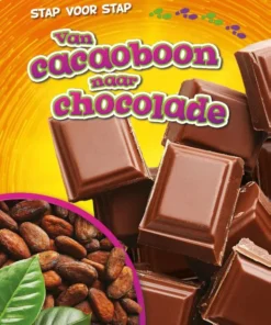 Van cacaoboon naar chocola