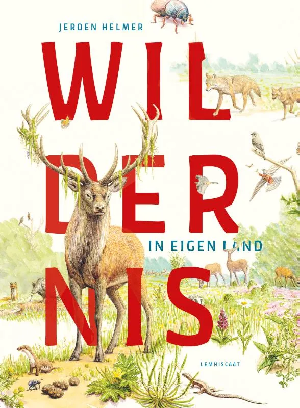 Wildernis in eigen land | 9789047716877 Wildernis in eigen land