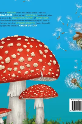 Alternative view of Mega & mini