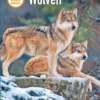 Wolven | 9789463526814