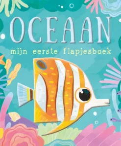 Mijn eerste flapjesboek