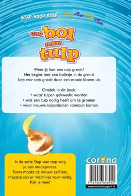 Alternative view of Van bol naar tulp