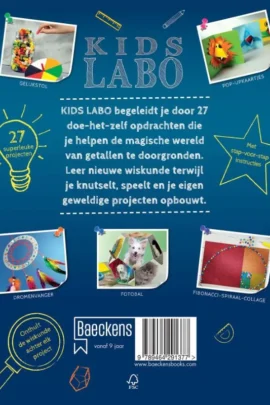 Alternative view of Geweldige projecten voor jonge wiskundigen