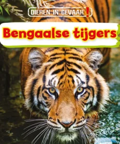 Bengaalse tijgers