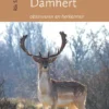 Het damhert | 9789492176608 Het damhert | 9789492176608
