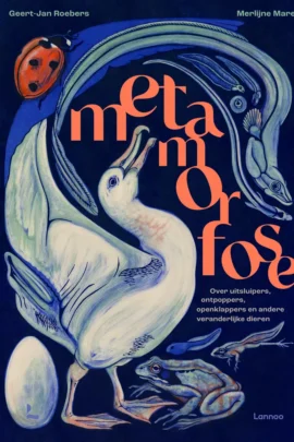 Metamorfose