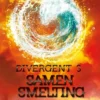 Samensmelting | 9789000333349