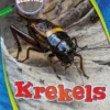 Krekels | 9789463415866