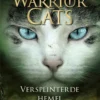 Versplinterde hemel | 9789020668315 Versplinterde hemel | 9789020668315