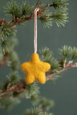 Hanger Ster | 8721122322819